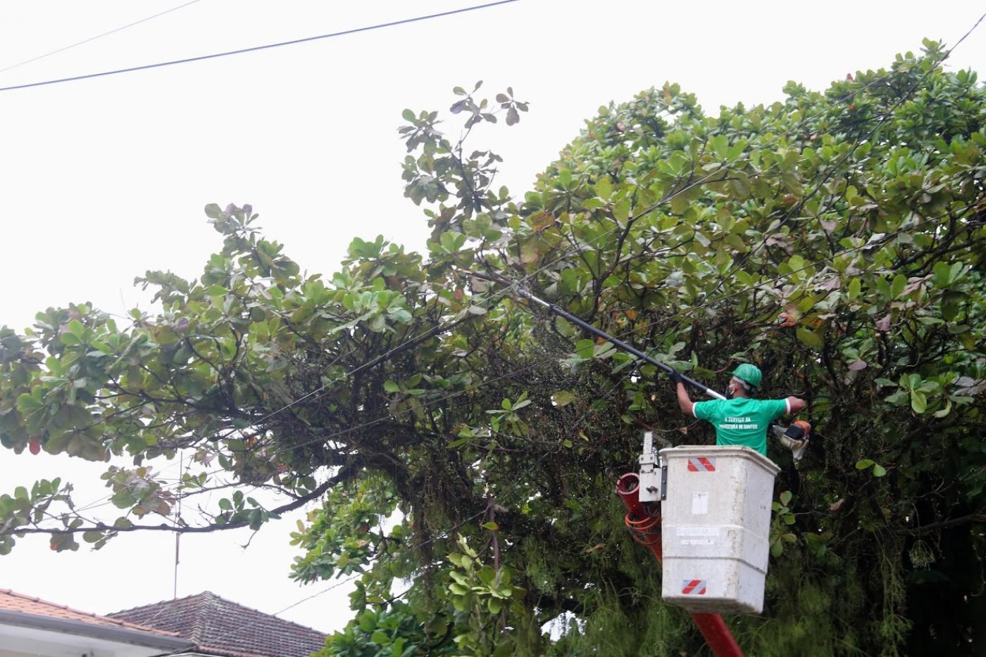 homem está no cesto de caminhã basculante podando árvore. #paratodosverem