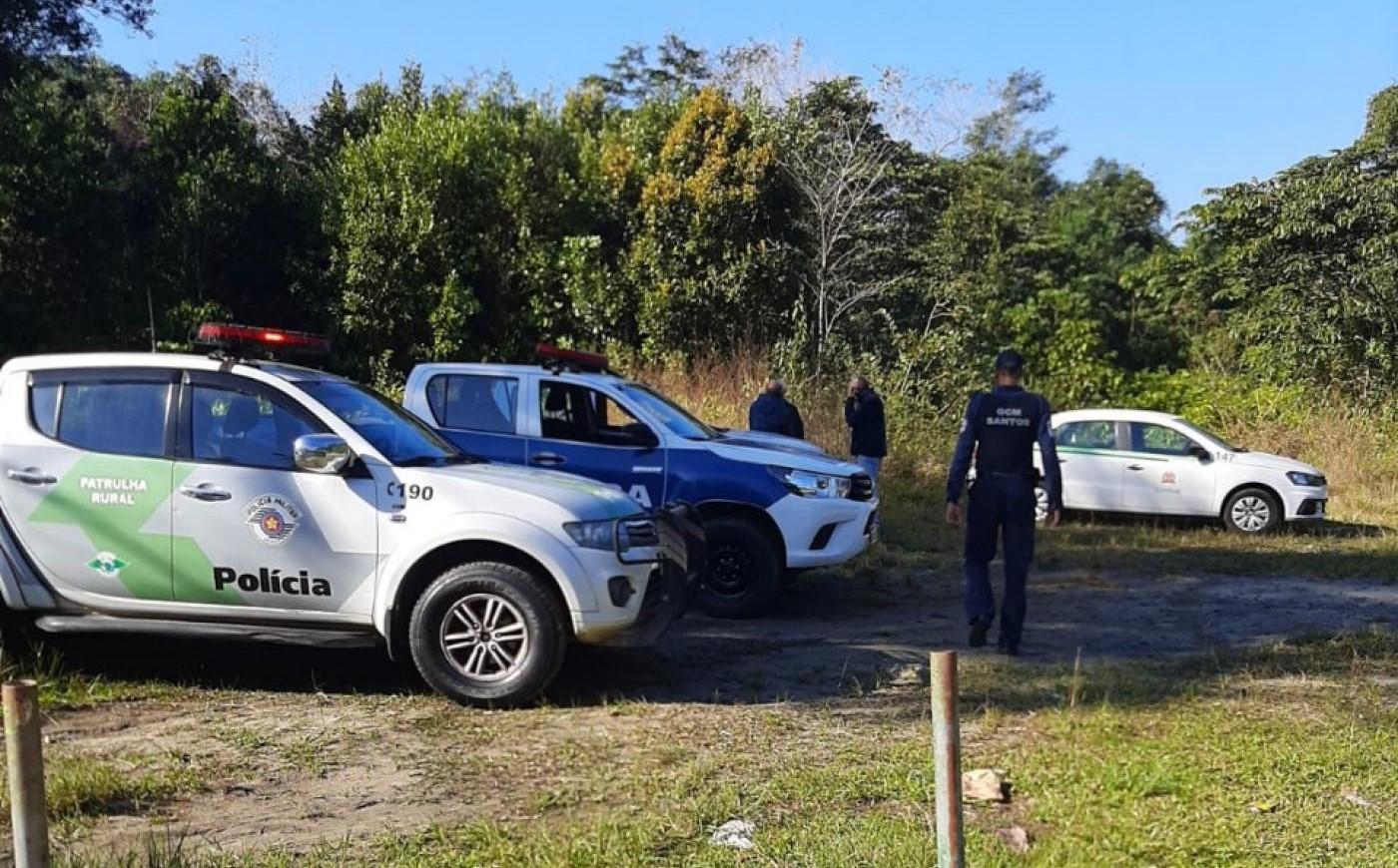 em área de mata, viaturas da guarda, da policia, e agentes #paratodosverem