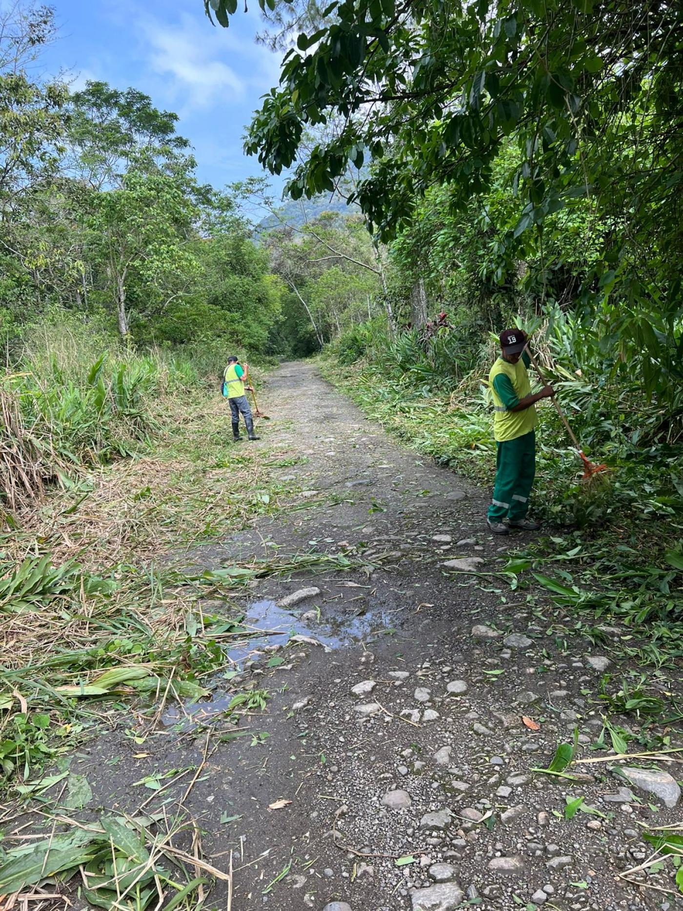 Funcionários da Regional retiram vegetação cortada de pista. #paratodosverem