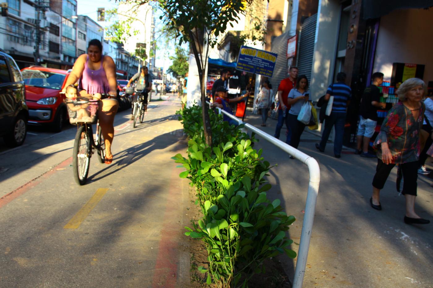 mudas plantadas na ciclovia enquanto ciclista passa de bicicleta #pracegover 