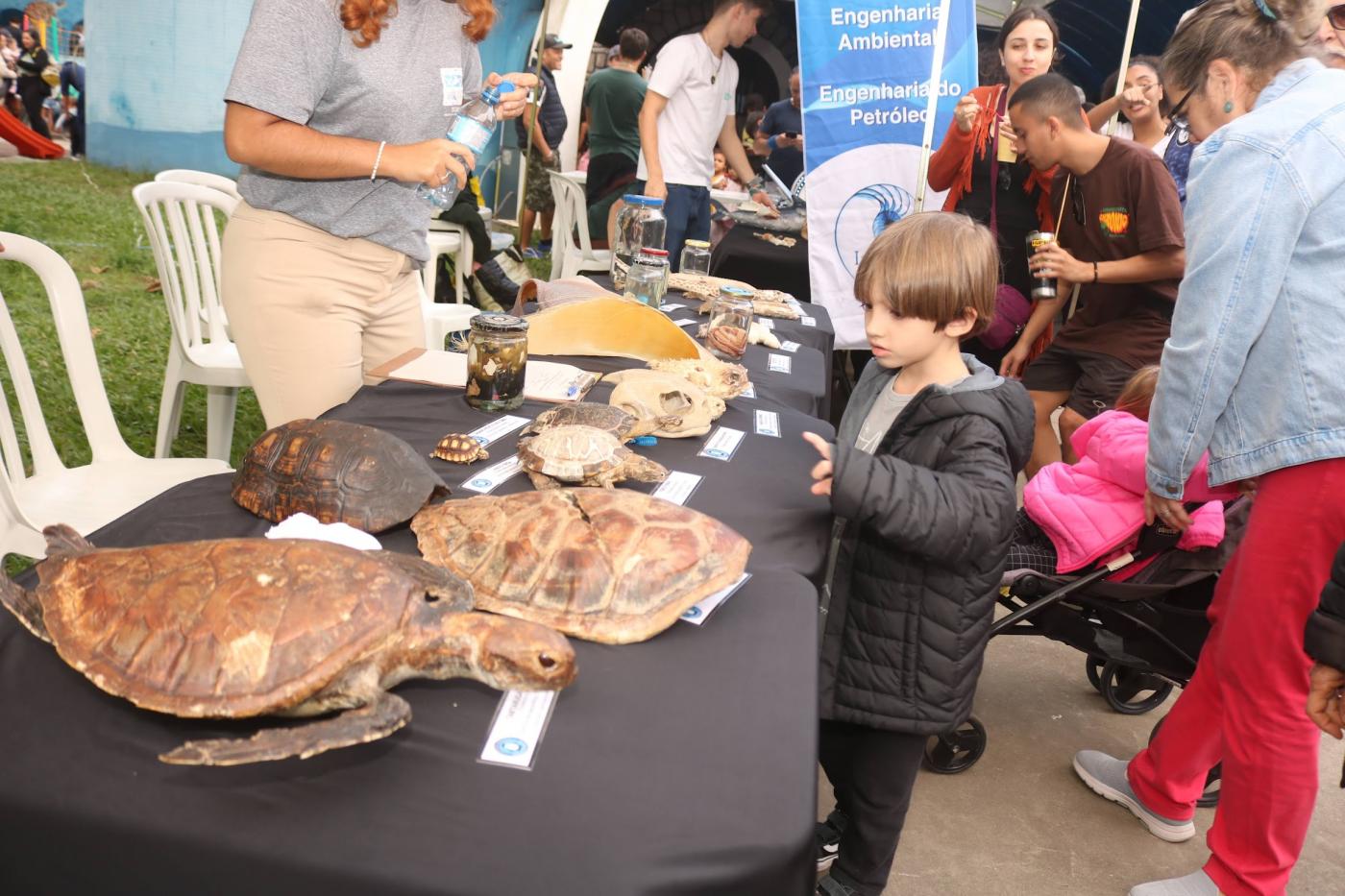 criança aponta para tartaruga taxidermizada exposta e mesa. #paratodosverem