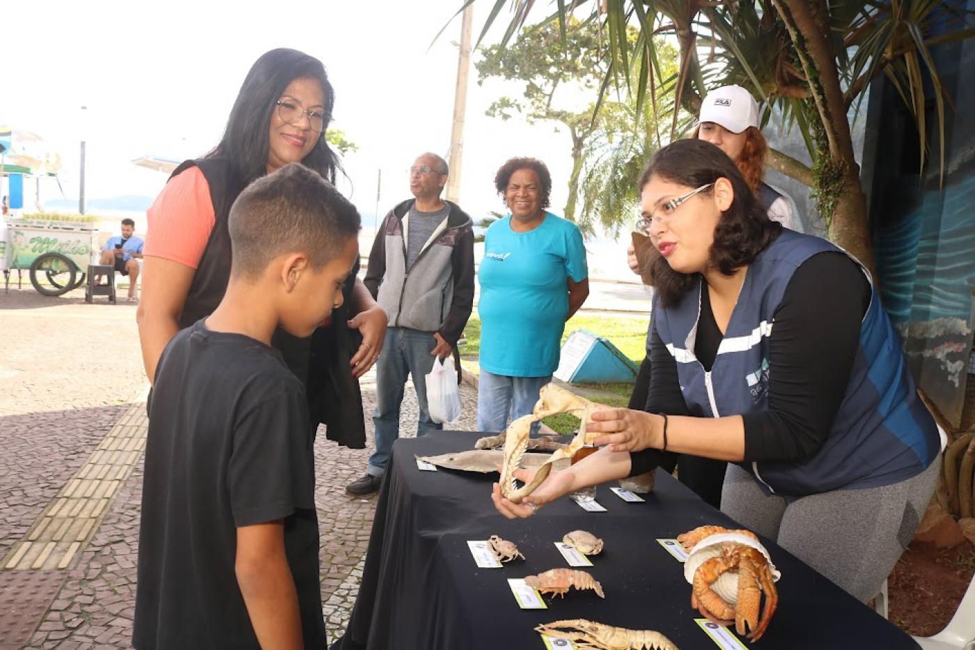 mulher mostra mandíbula com dentes de animal marinho para criança. #paratodosverem