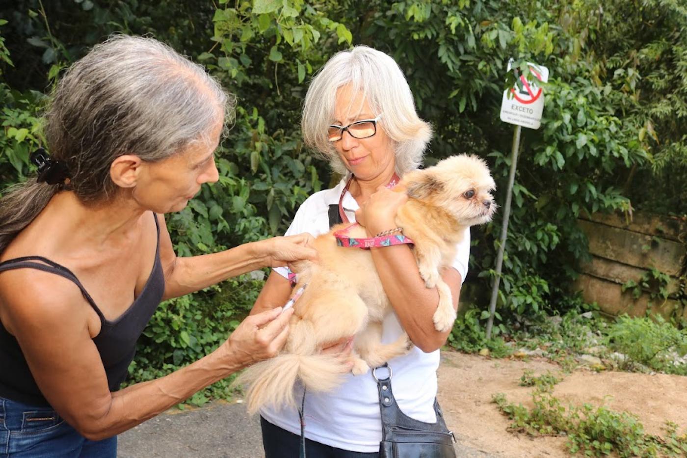 mulher vacina cachorro que está no colo de outra mulher. #paratodosverem 