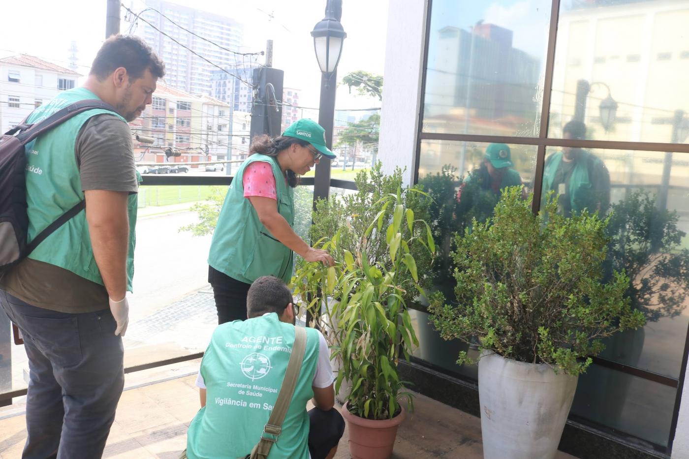 agentes de zoonoses vistoriam vaso em moradia. #paratodosverem 