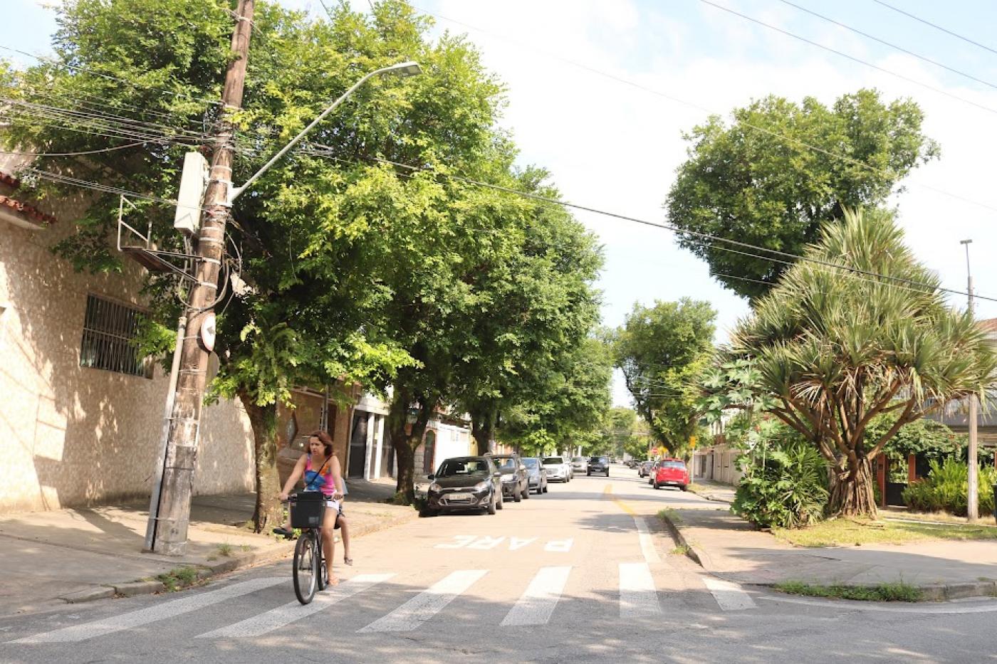 vista geral de rua arborizada. À frente e à esquerda, uma mulher está dirigindo uma bicicleta. #paratodosverem