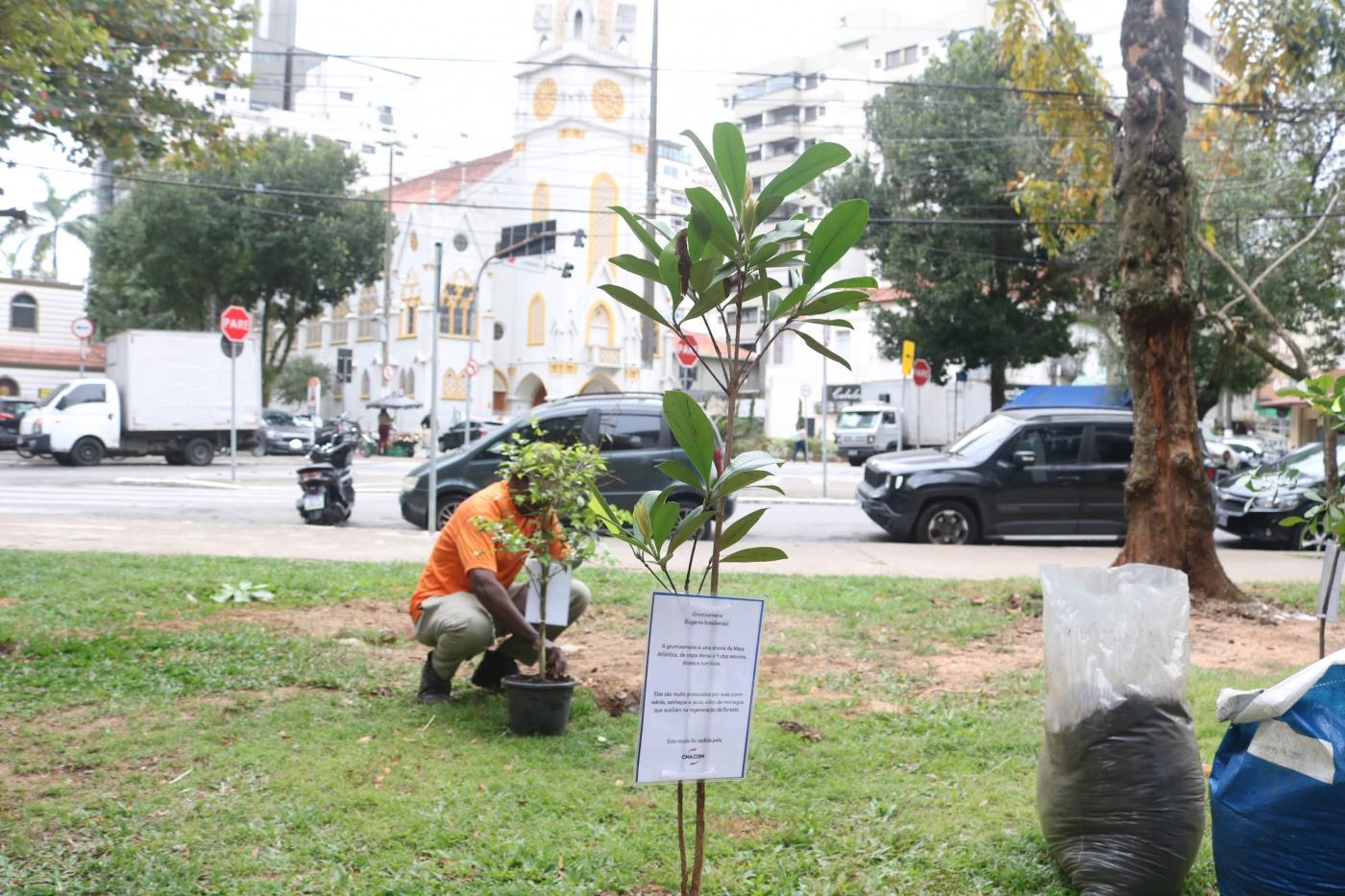 homem planta árvore ao fundo, muda em primeiro plano. #paratodosverem