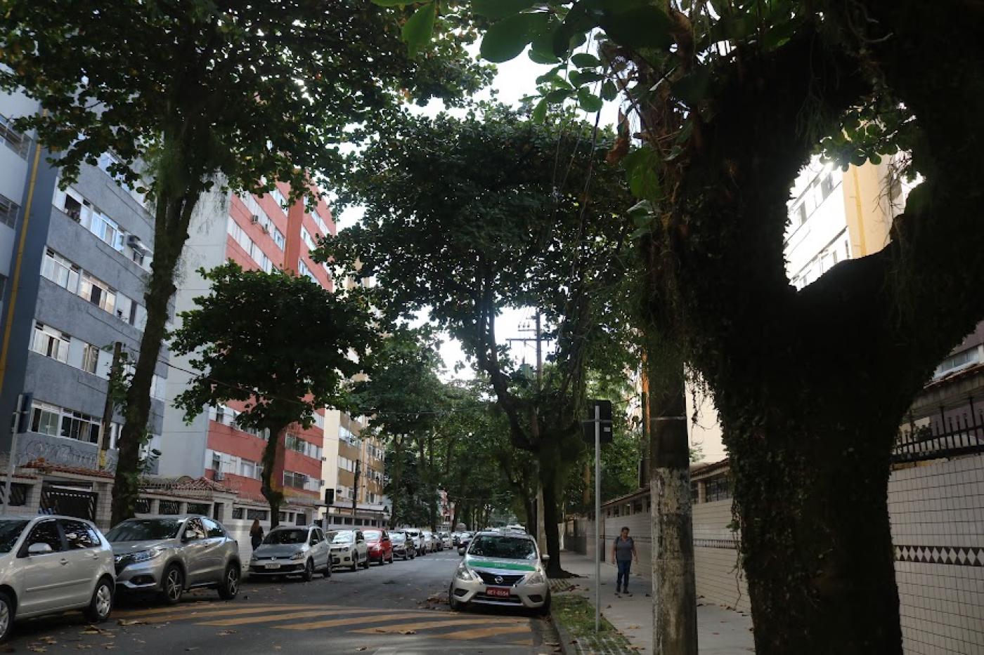 vista geral da via com árvores dos dois lados da calçada. #paratodosverem