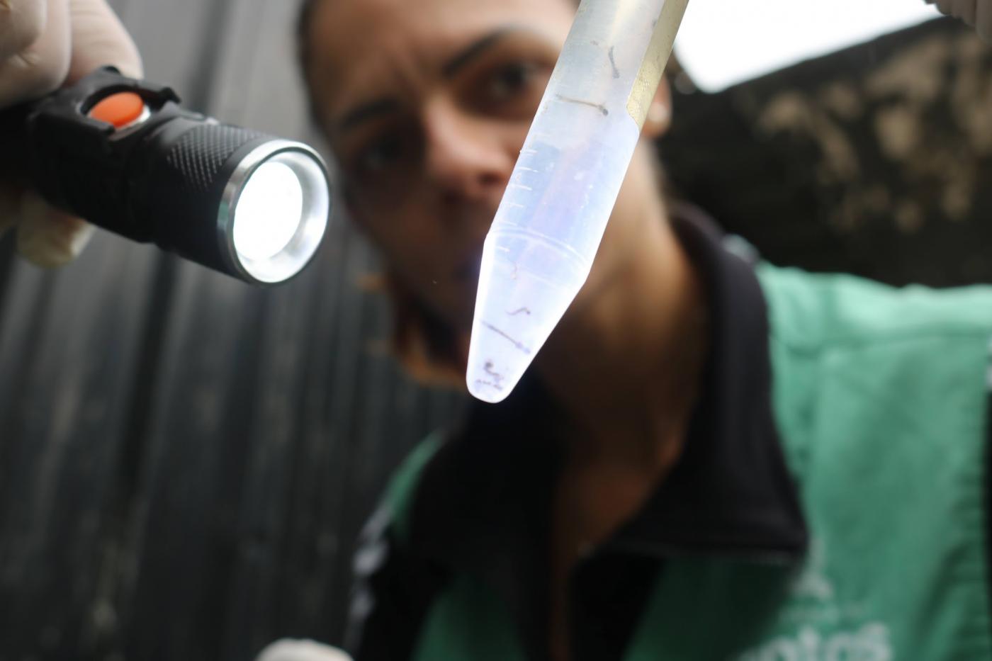 agente ilumina com lanterna um tubo de ensaio com larvas. #paratodosverem 