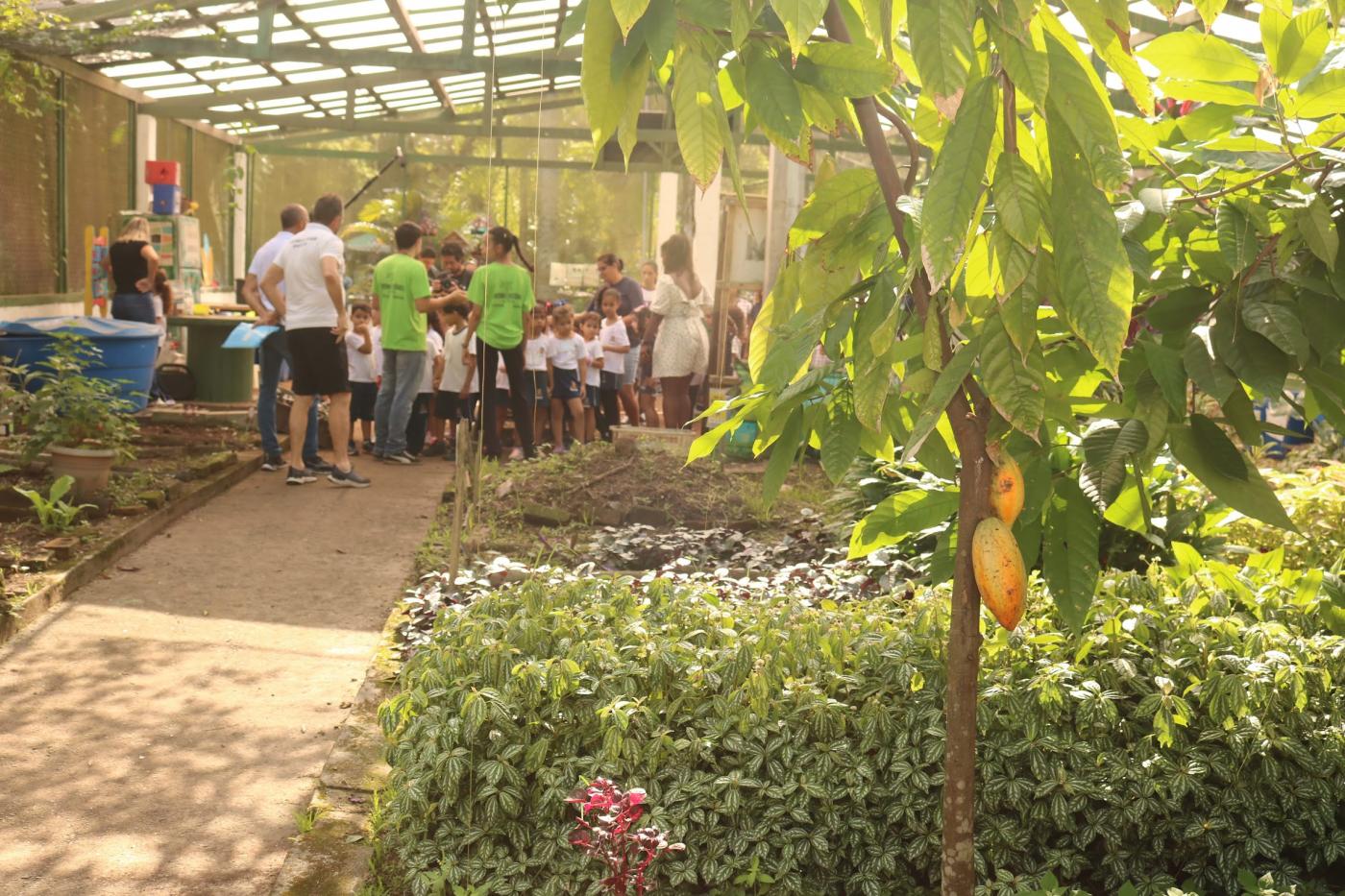 ambiente de plantas com crianças ao fundo. #paratodosverem