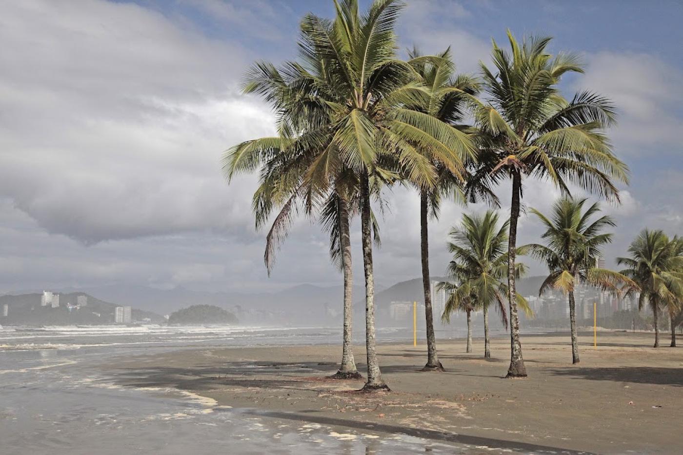 mar avança até a altura das palmeiras na orla de Santos. #paratodosverem