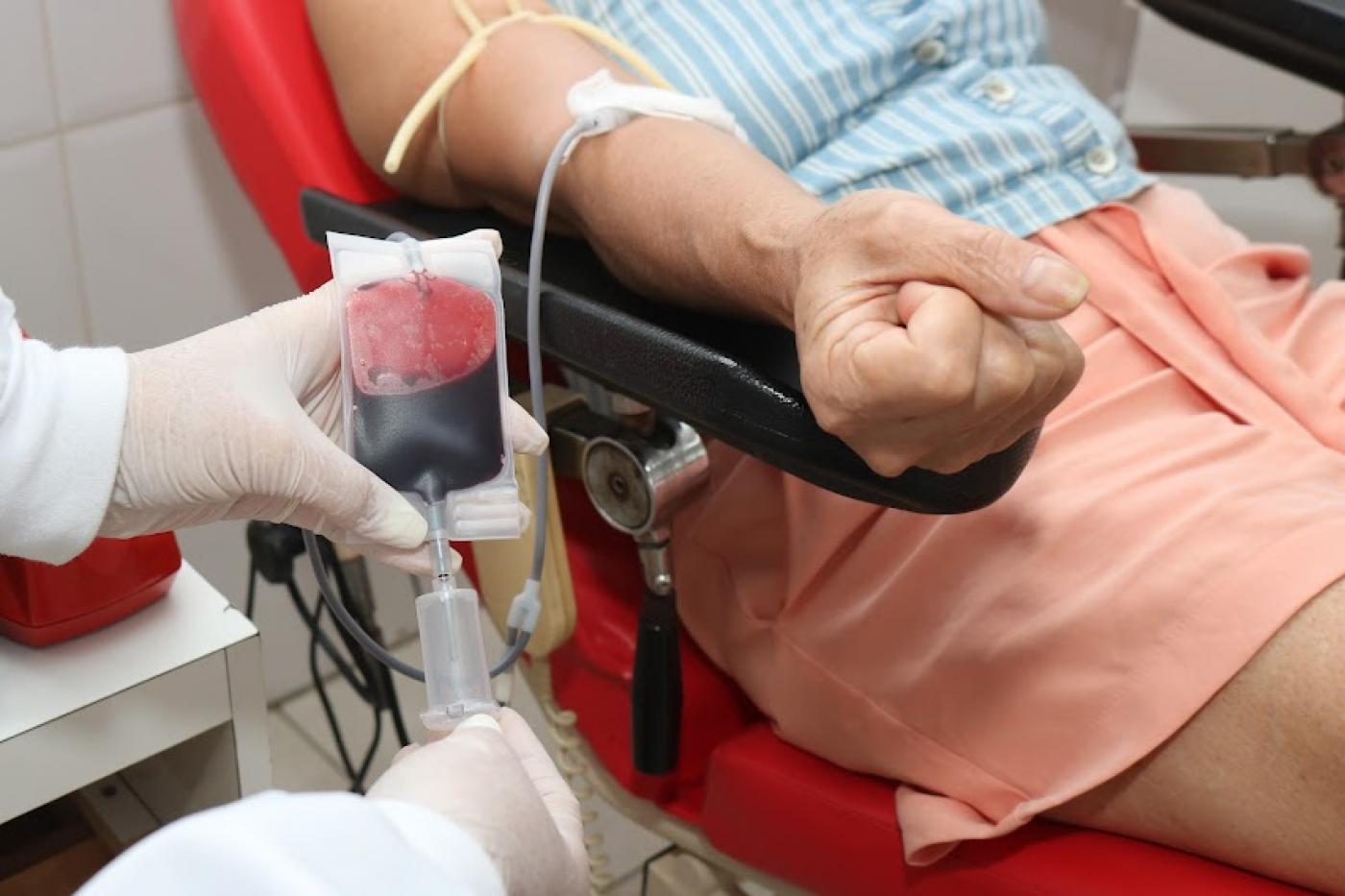 close em doação de sangue. Mãos com luvas seguram bolsa cheia de sangue. Uma mulher está sentada a uma cadeira, com o braço estendido no suporte. Um duto da bolsa está ligado ao seu braço. #paratodosverem