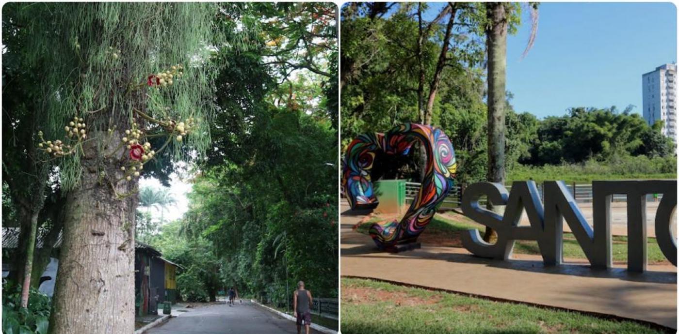 composição lado a lado de fotos do jardim botânico com flor em árvore em primeiro plano à esquerda e a escultura de coração com o nome santos e vegetação da lagoa ao fundo. #paratodosverem