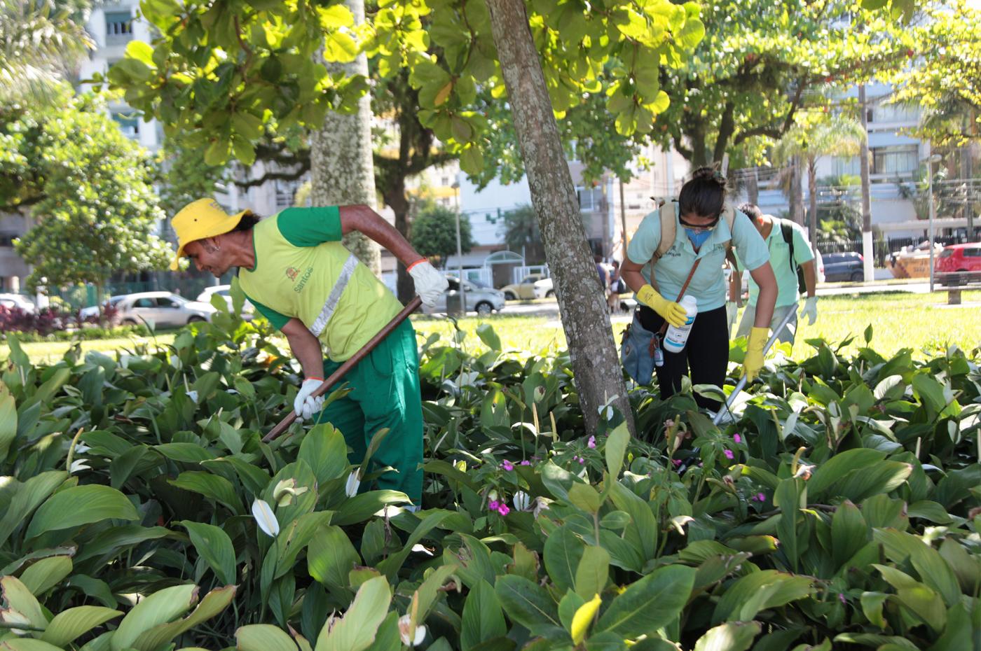 Pessoas uniformizadas, com pás e máscaras no rosto andam e manuseiam plantas em jardim. #Pracegover