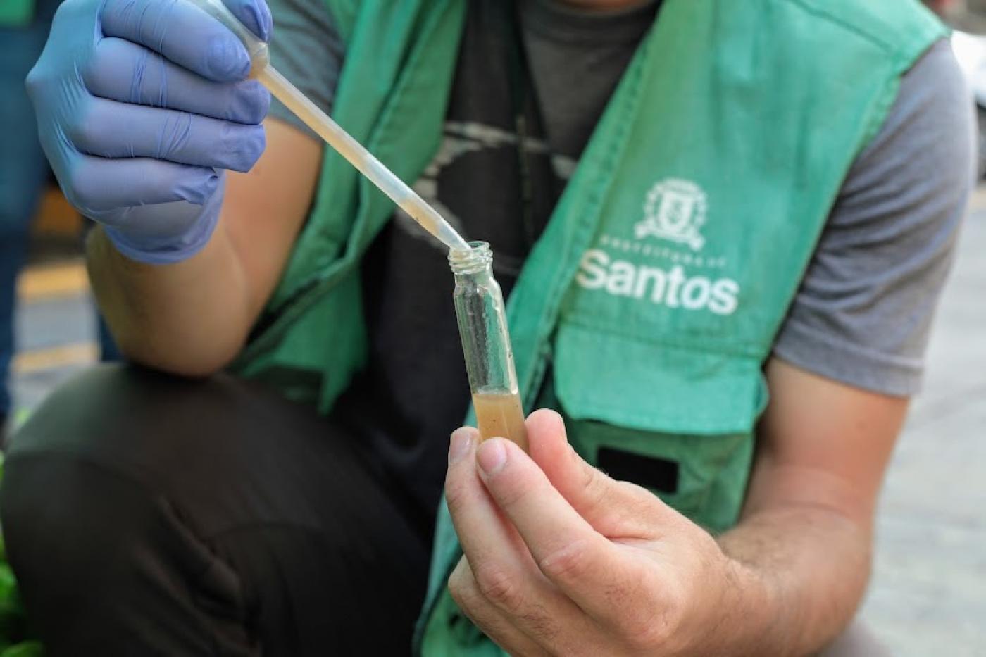 imagem em close de mãos segurando pipeta que transfere amostra de larva para tudo de ensaio. Pessoa que segura usa um colete da prefeitura. #paratodosverem