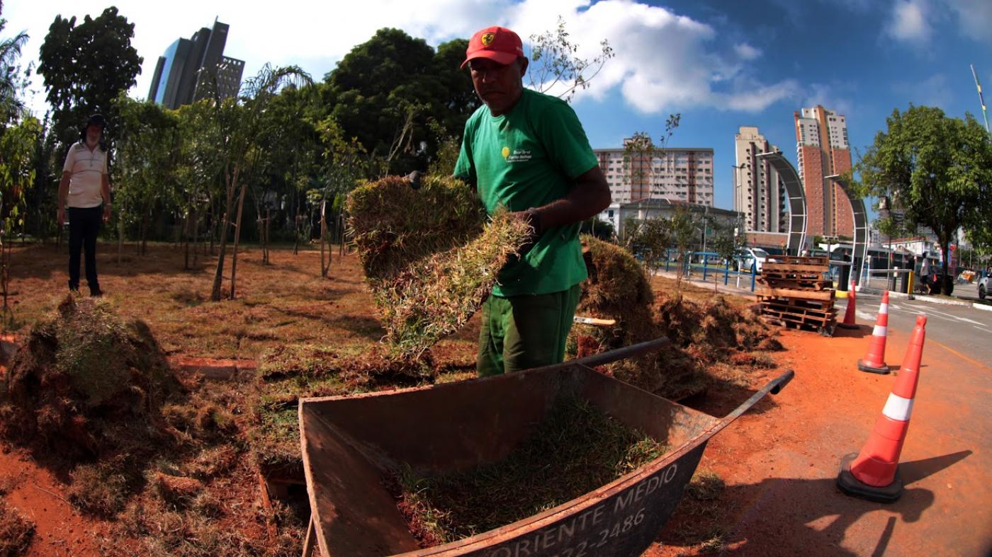 homem planta árvore #paratodosverem 