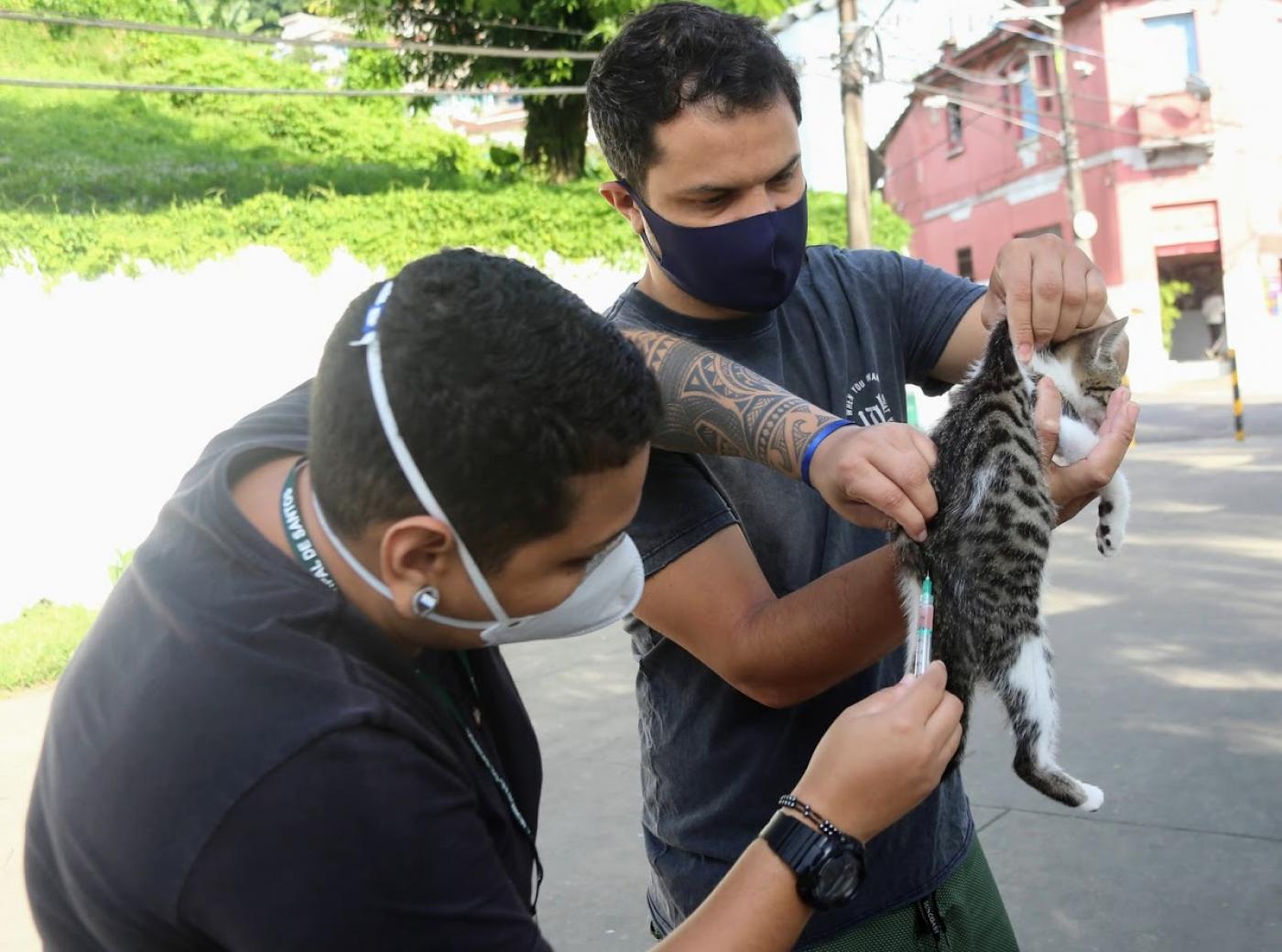 homem segura um gatinho enquanto outro o vacina. #paratodosverem