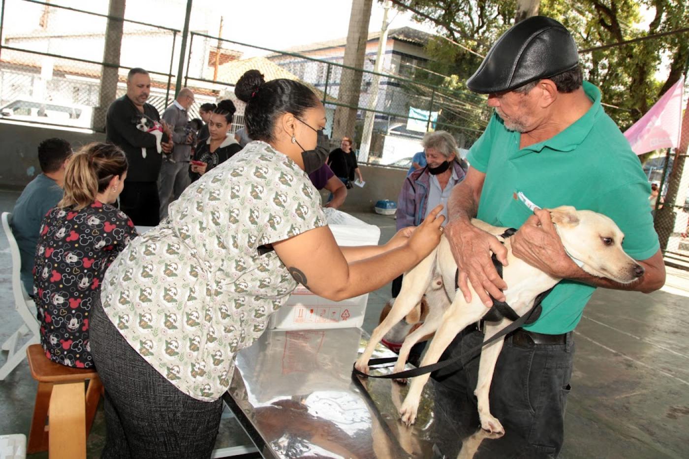 Profissional aplica vacina em cão sobre maca, sendo seguro pelo dono. #paratodosverem