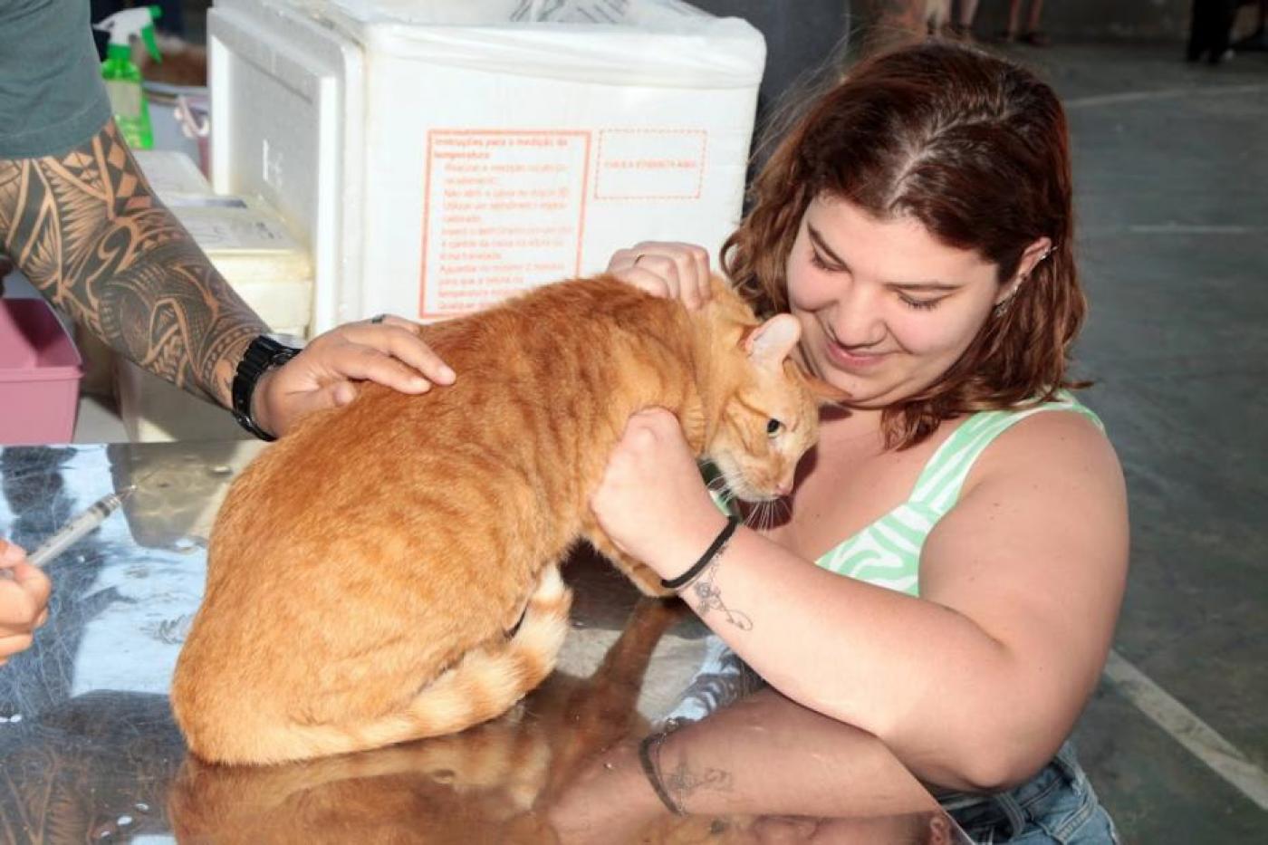 mulher segura gato que será vacinado. Mão de homem segura seringa com agulha. #paratodosverem