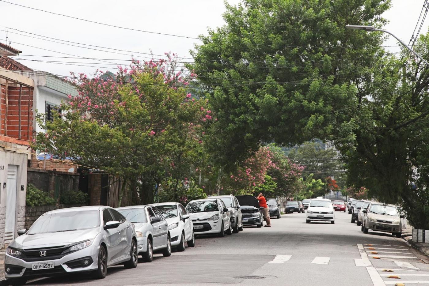 Rua arborizada com carros estacionados. #Paratodosverem