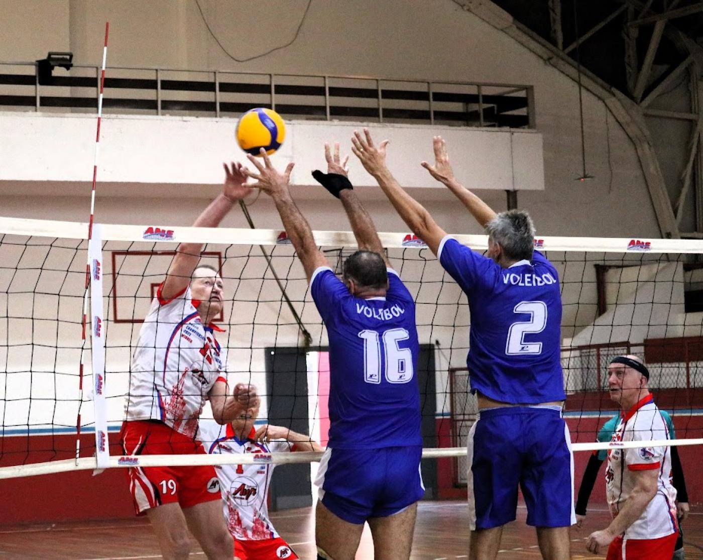 atletas jogando vôlei #paratodosverem 