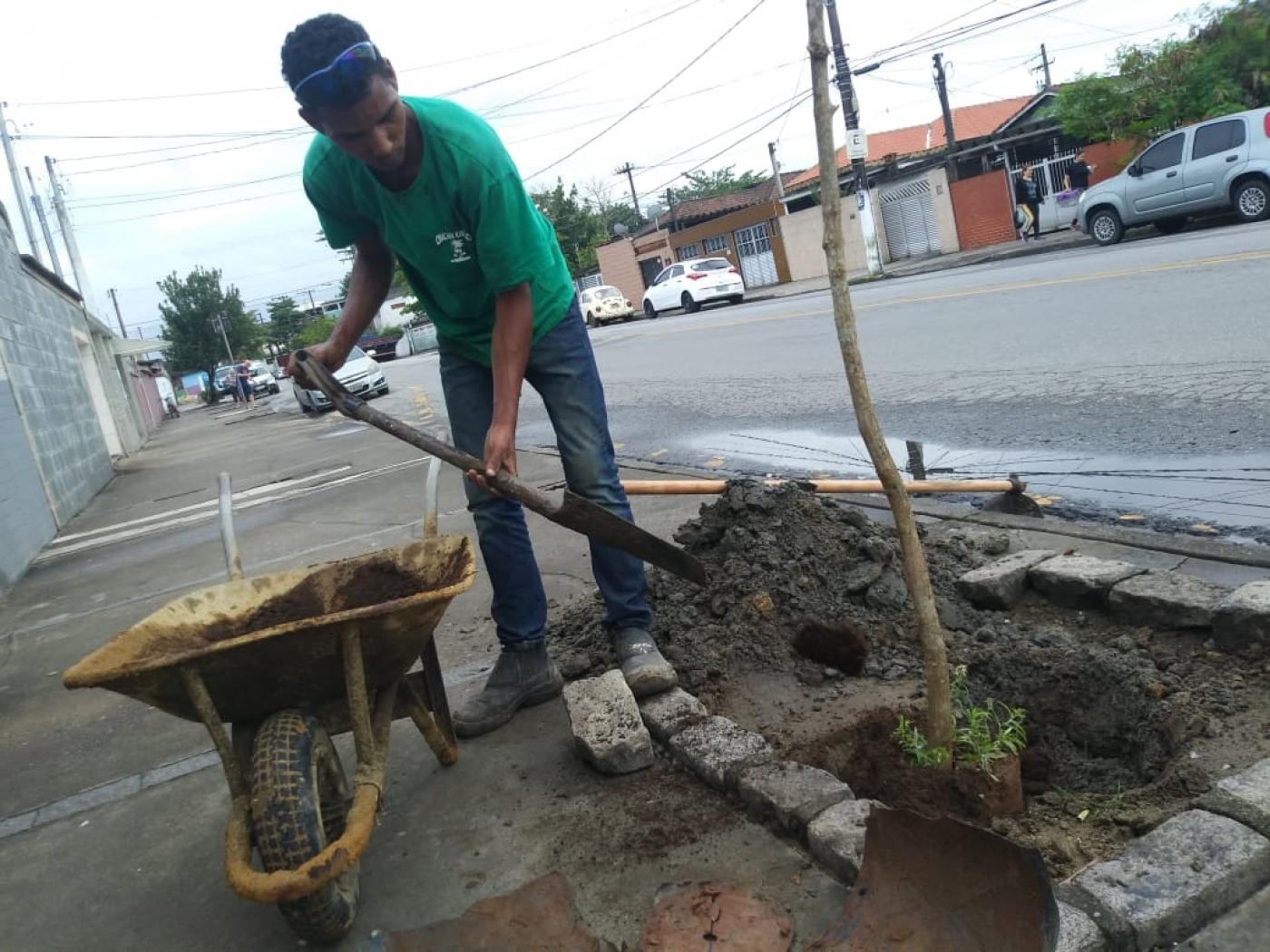 Homem planta muda em cova.  Ele coloca terra sobre a muda que está em uma cova. Ao lado direito dele há um carrinho de  mão com terra. #Pracegover