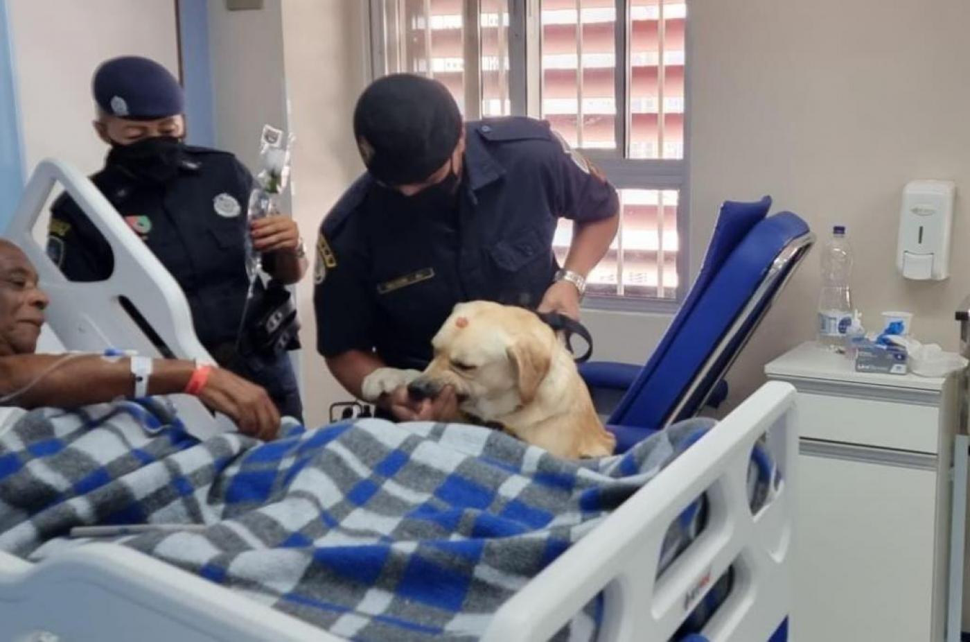 agentes seguram cachorro ao lado de paciente na cama do hospital #paratodosverem