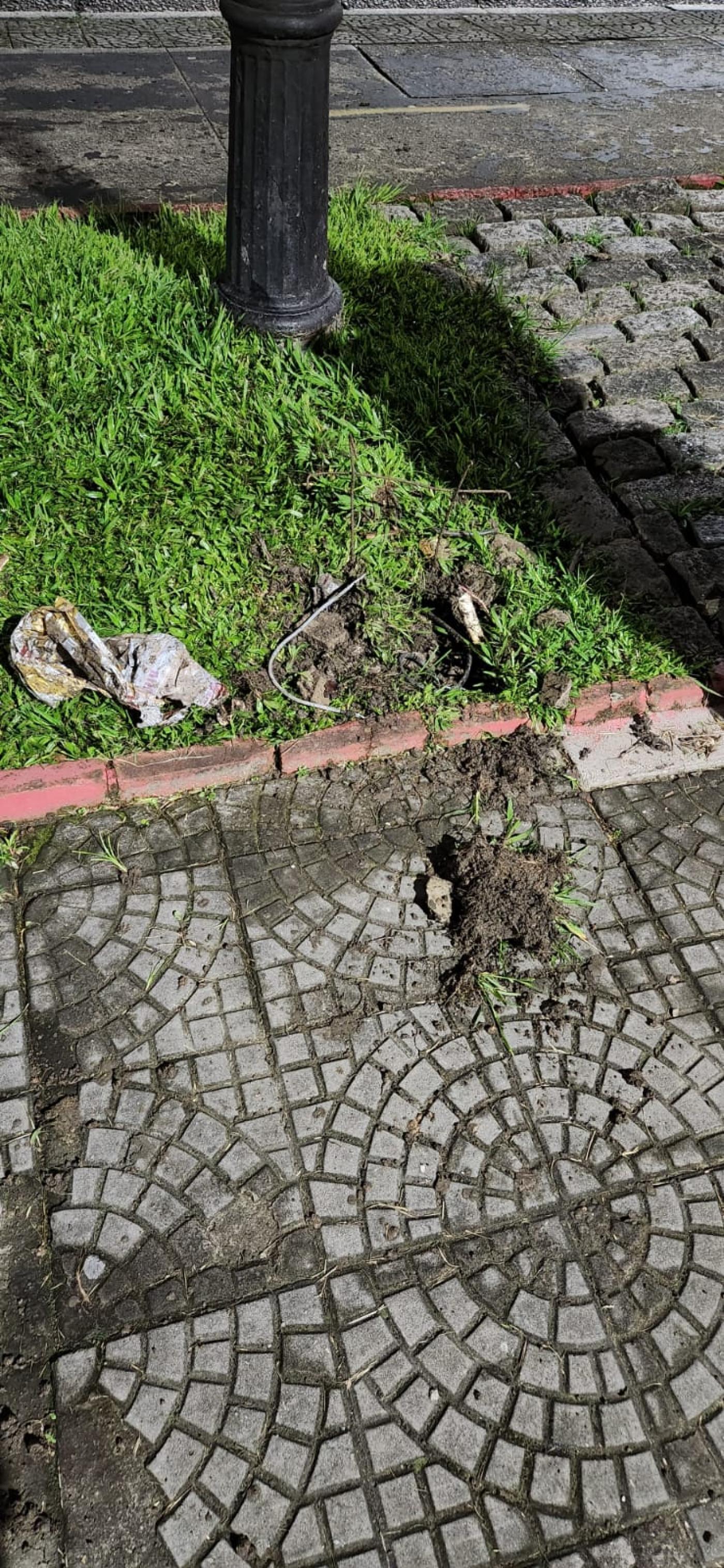 alicate e fios estão no chão ao lado de pequeno recorte de jardim. #paratodosverem 