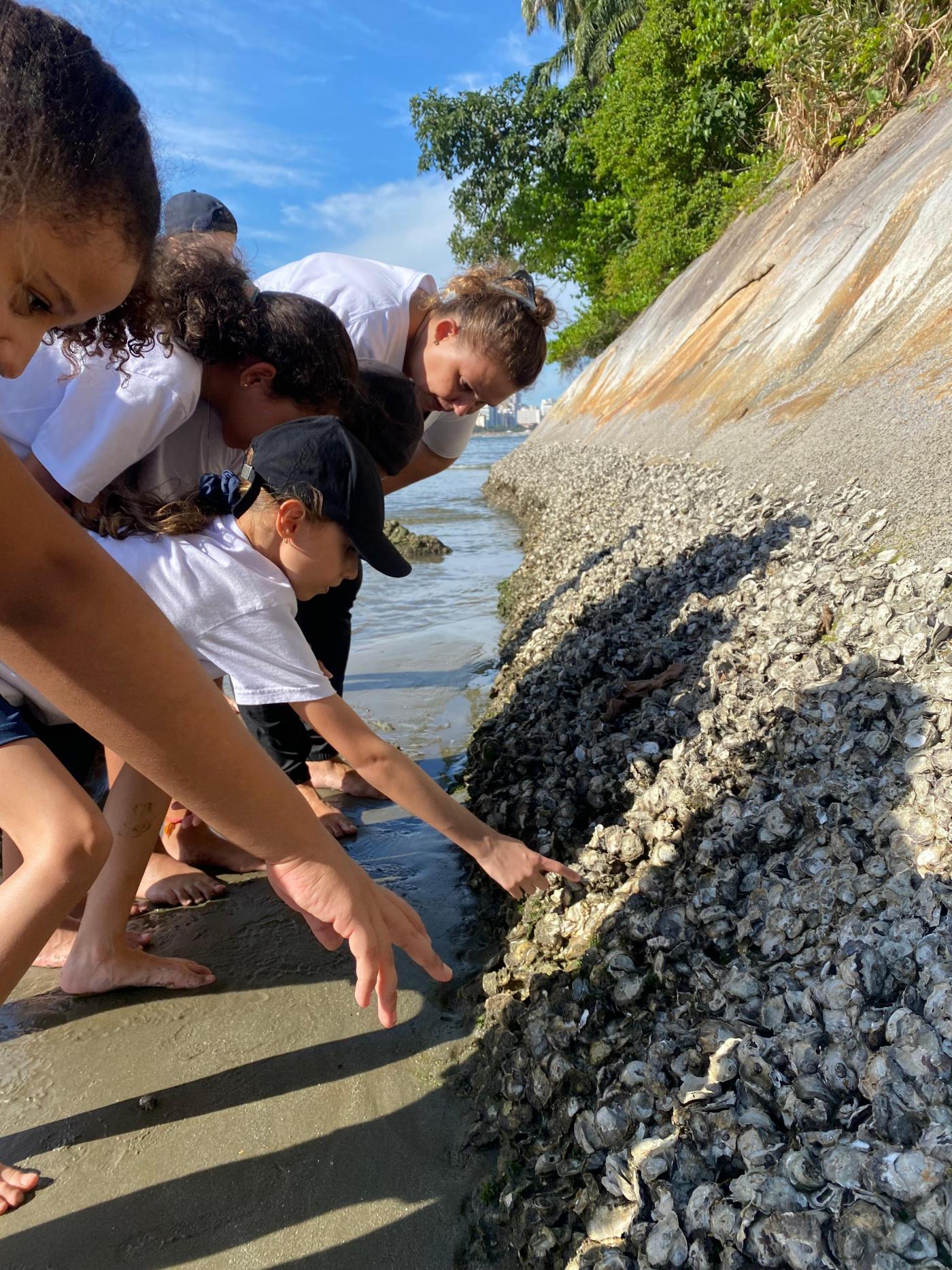 jovens mexem em costão de ilha #paratodosverem