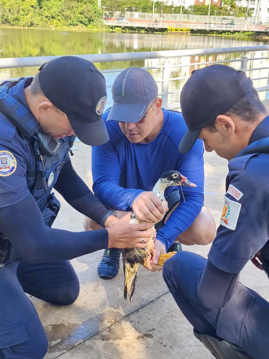 guardas seguram pato em frente a uma lagoa. #paratodosverem