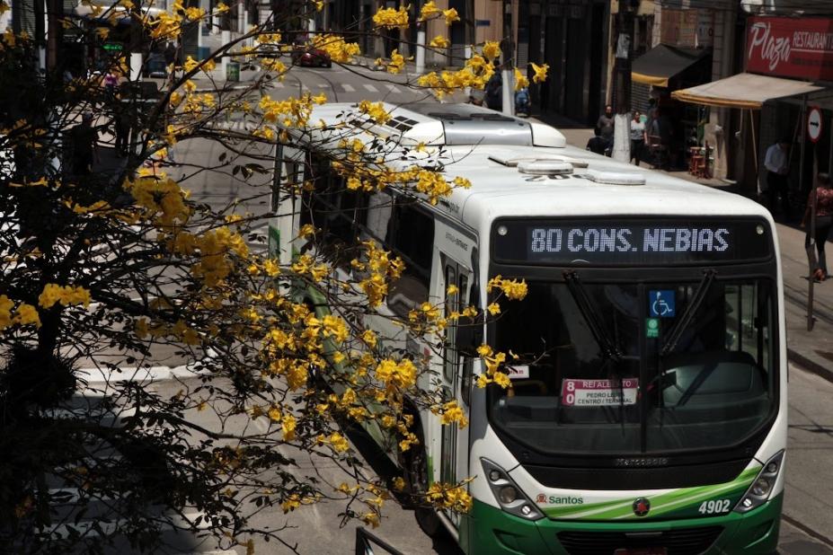 ônibus está em rua. Em primeiro plano, um ipê amarelo em flor. #paratodosverem 