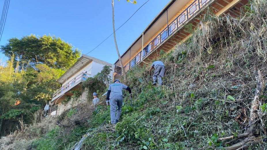 homens limpam encosta removendo mato. Há casas no alto. #paratodosverem