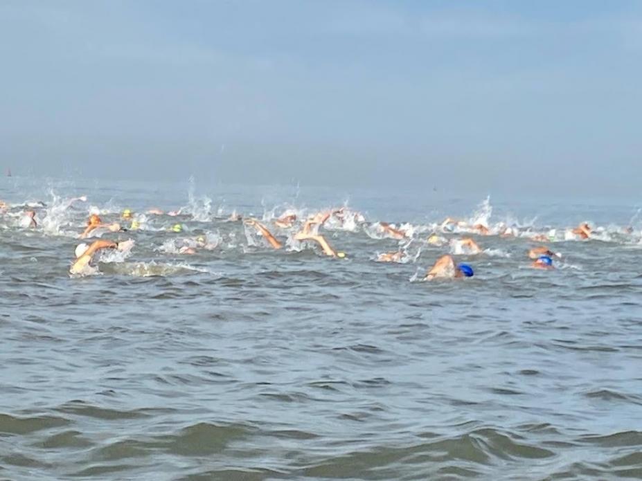 pessoas nadando no mar #paratodosverem 