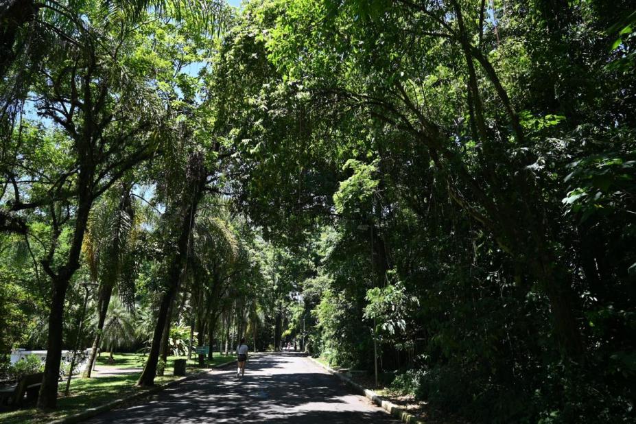 Vista do Jardim Botânico. #Paratodosverem