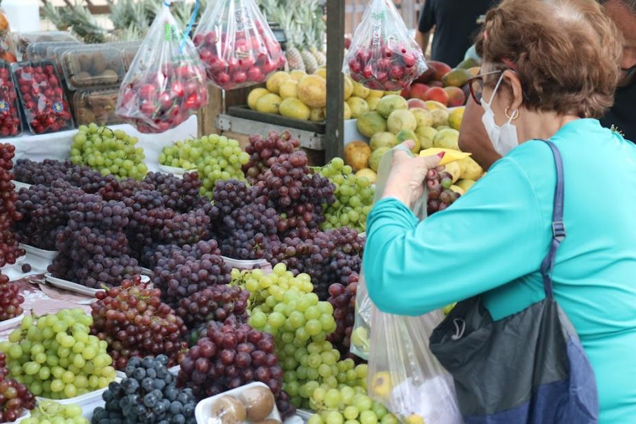 idosa escolhe uvas na feira #paratodosverem