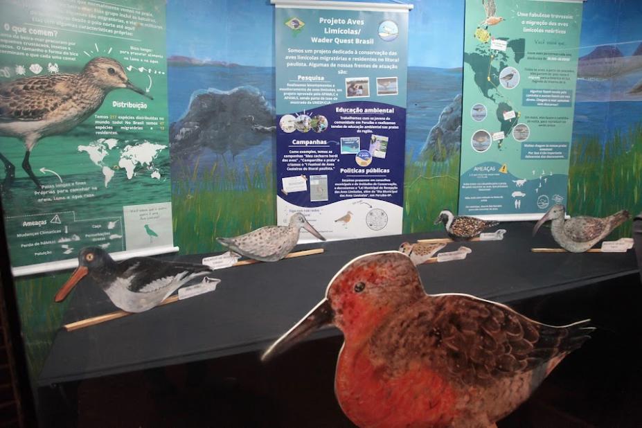 Ilustração de áve e banners informativos. #paratodosverem