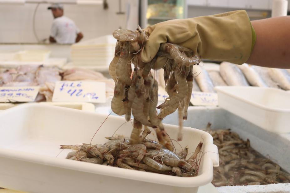 mão segura camarões #paratodosverem