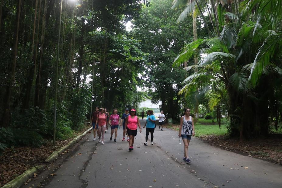 pessoas caminhando no botânico #paratodosverem