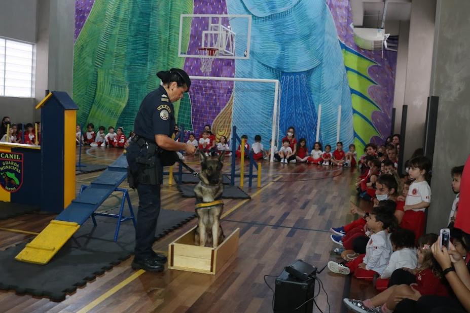 crianças estão sentadas no chão de sala assistindo aos movimentos de um cão, que faz acrobacias. #paratodosverem