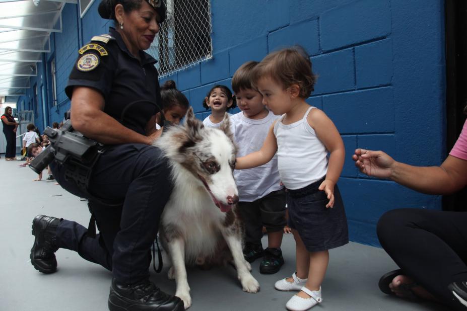 guarda segura cão para menina tocar. #paratodosverem
