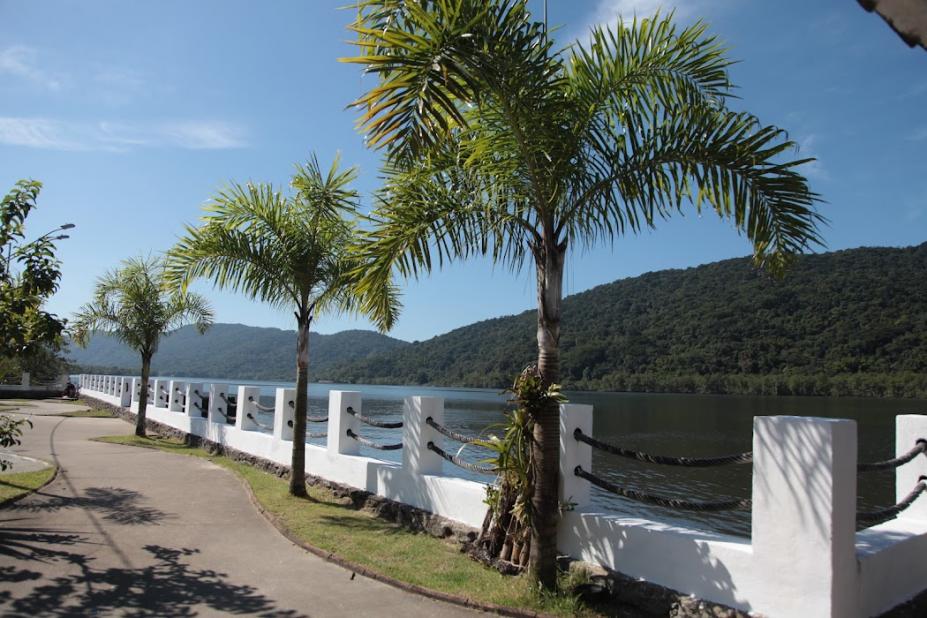 paisagem com árvore #paratodosverem