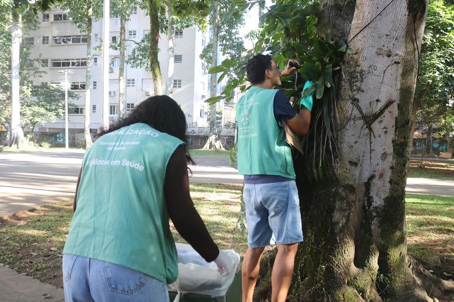 dois agentes procuram focos de mosquito em praça. #paratodosverem