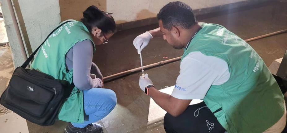 agentes analisam larvas em tubo #paratodosverem