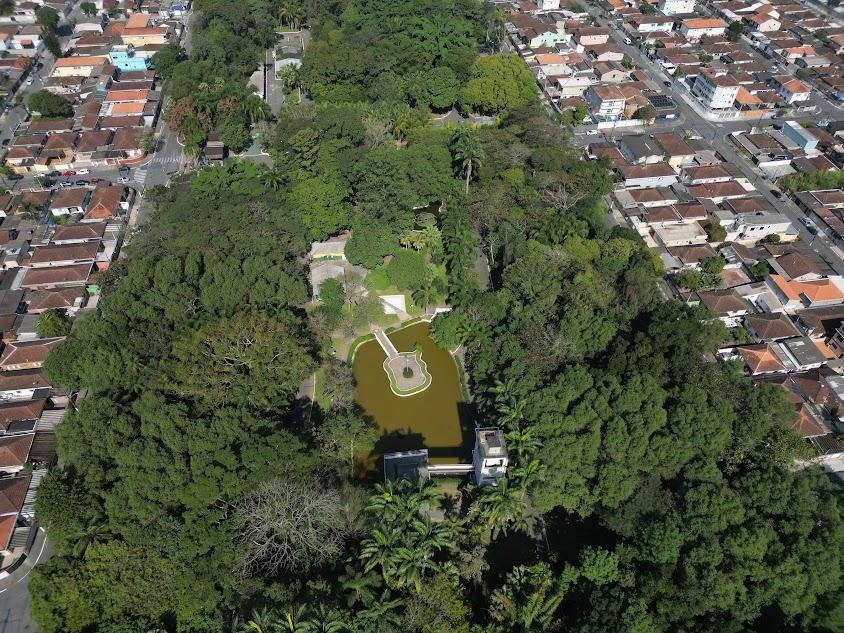 vista aérea de mass verde do jardim botânico. #paratodosverem