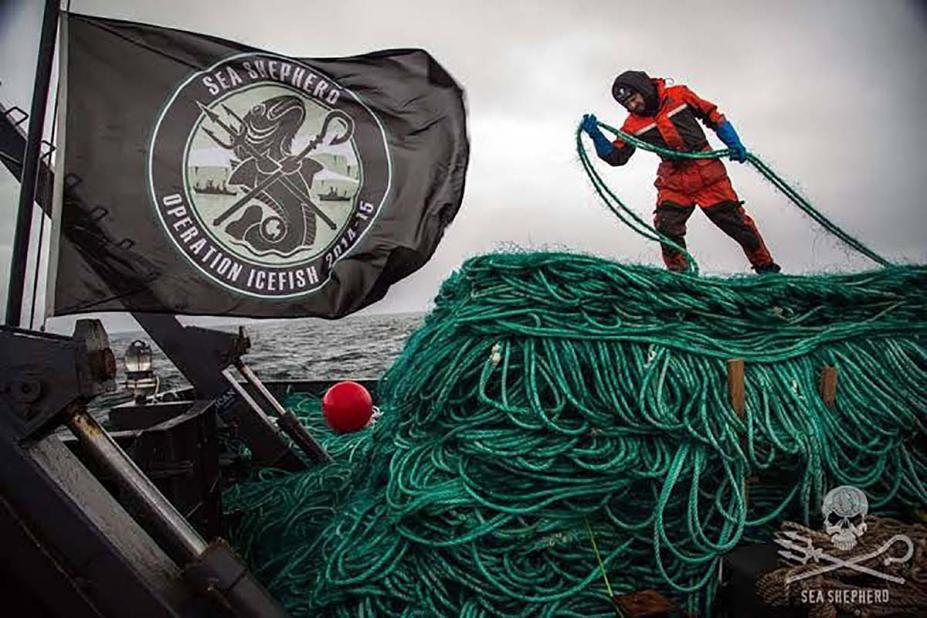 cena do documentário. Homem está em cima de barco, puxando uma imensa corda. Ao lado dele, uma bandeira da Sea Shepperd. #paratodosverem