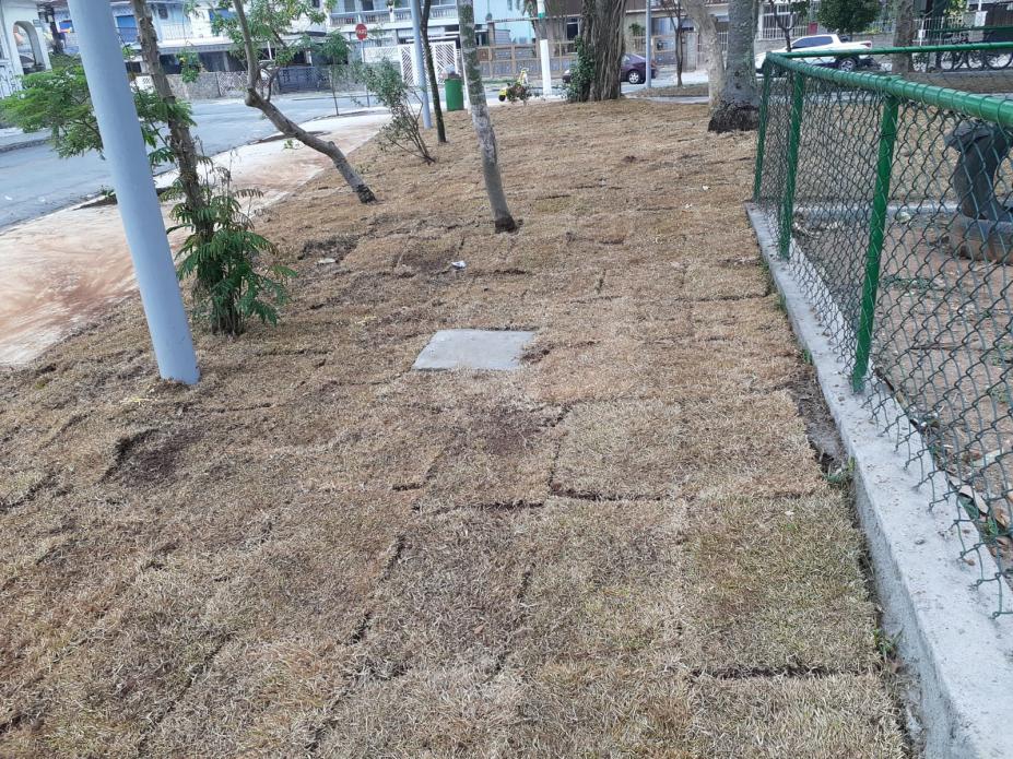 placas de grama no piso ao lado de um alambrado. #paratodosverem 