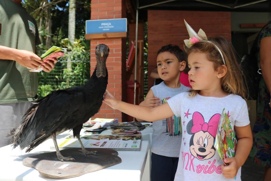 criança encosta com a mão em ave no orquidário #paratodosverem