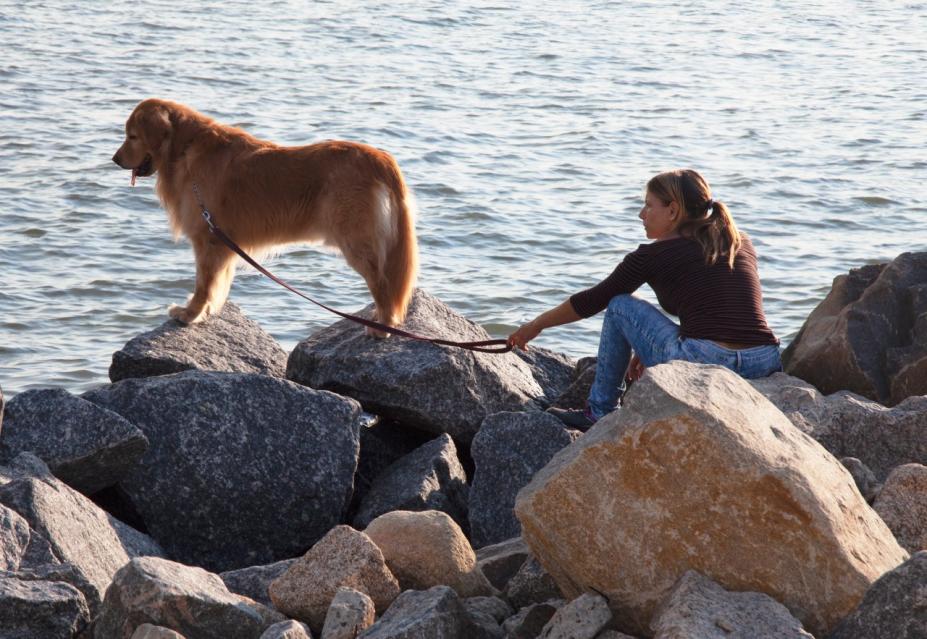 mulher e cachorro estão em pedras beira mar #paratodosverem 