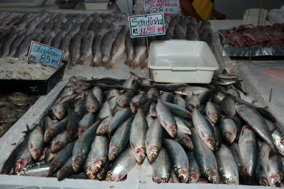 caixa de isopor cheia de sardinhas frescas. #paratodosverem