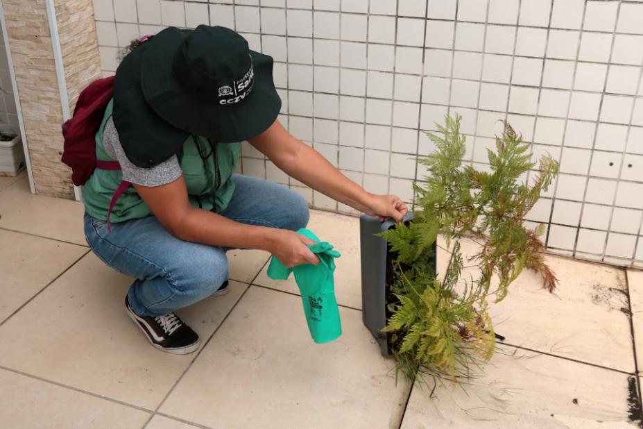 homem fiscaliza vaso com planta #paratodosverem