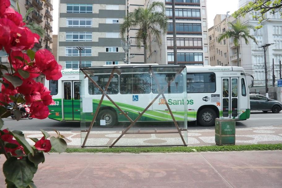 roseira vermelha no canto esquerdo em primeiro plano, com abrigo ao fundo. Sendo de vidro, é possível ver o ônibus que passa à frente na avenida. #paratodosverem 